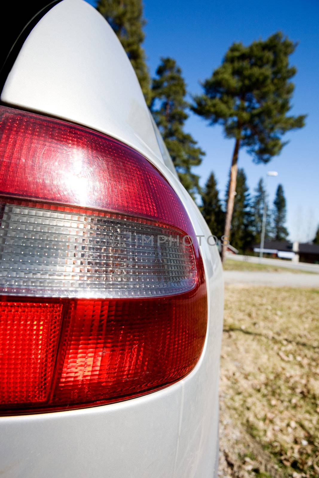 A rear view of a car in nature with tree and sky