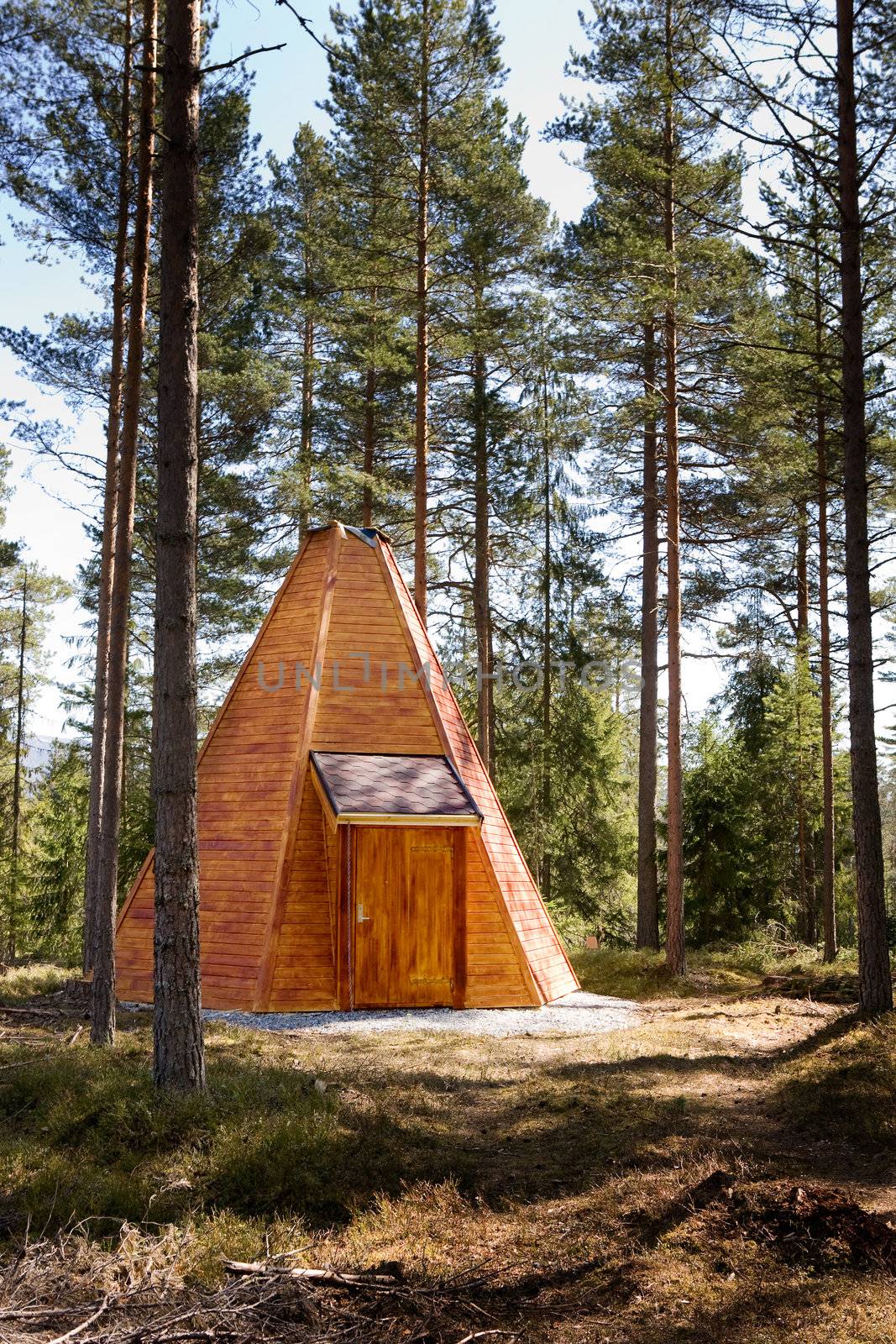 A teepee cabin hut in the forest