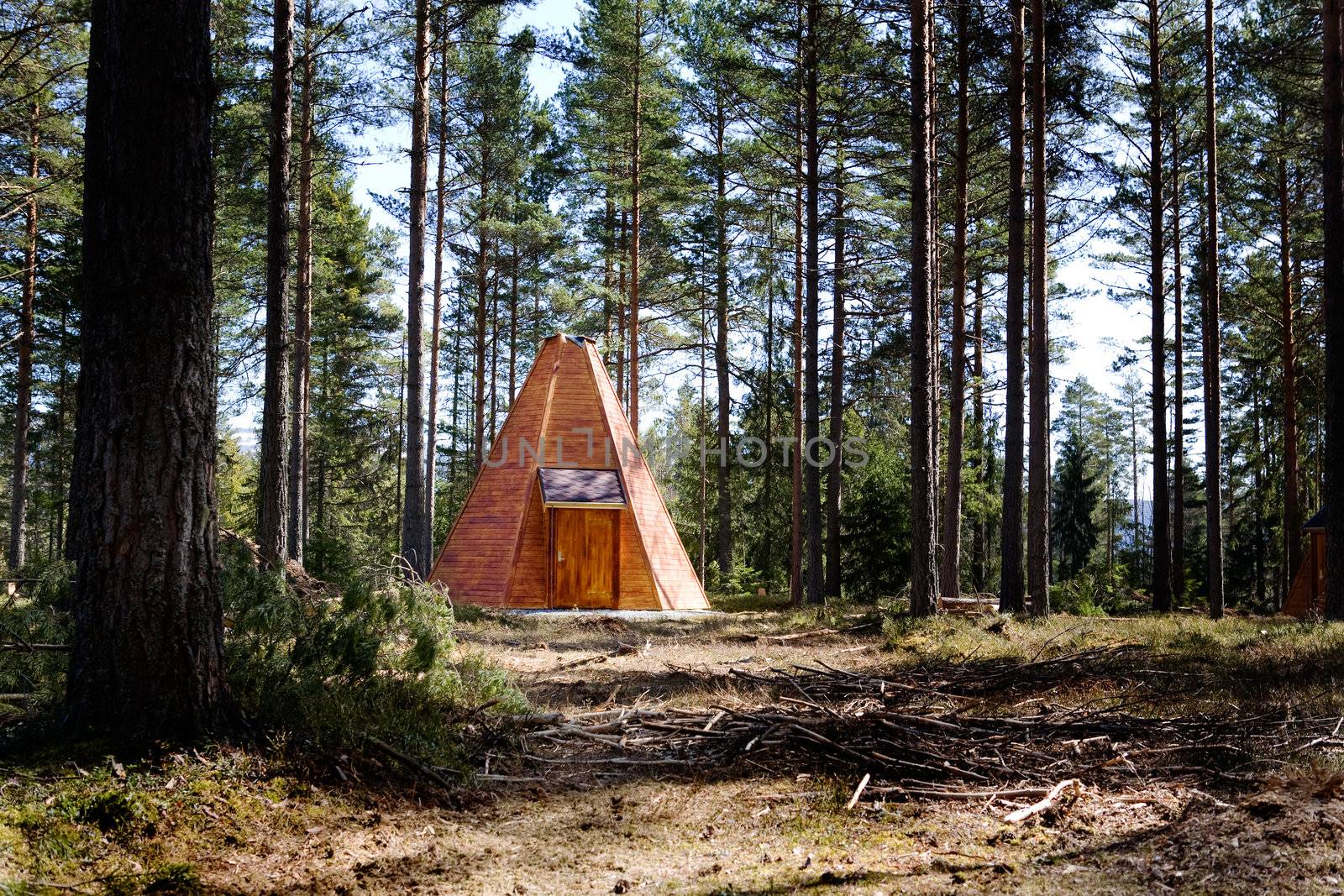 A teepee cabin hut in the forest