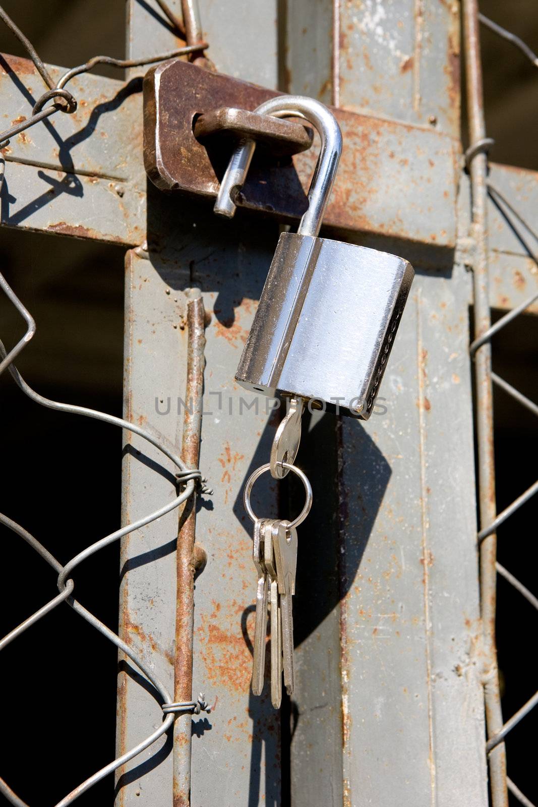 A heavy lock on a wire gate - open padlock with keys