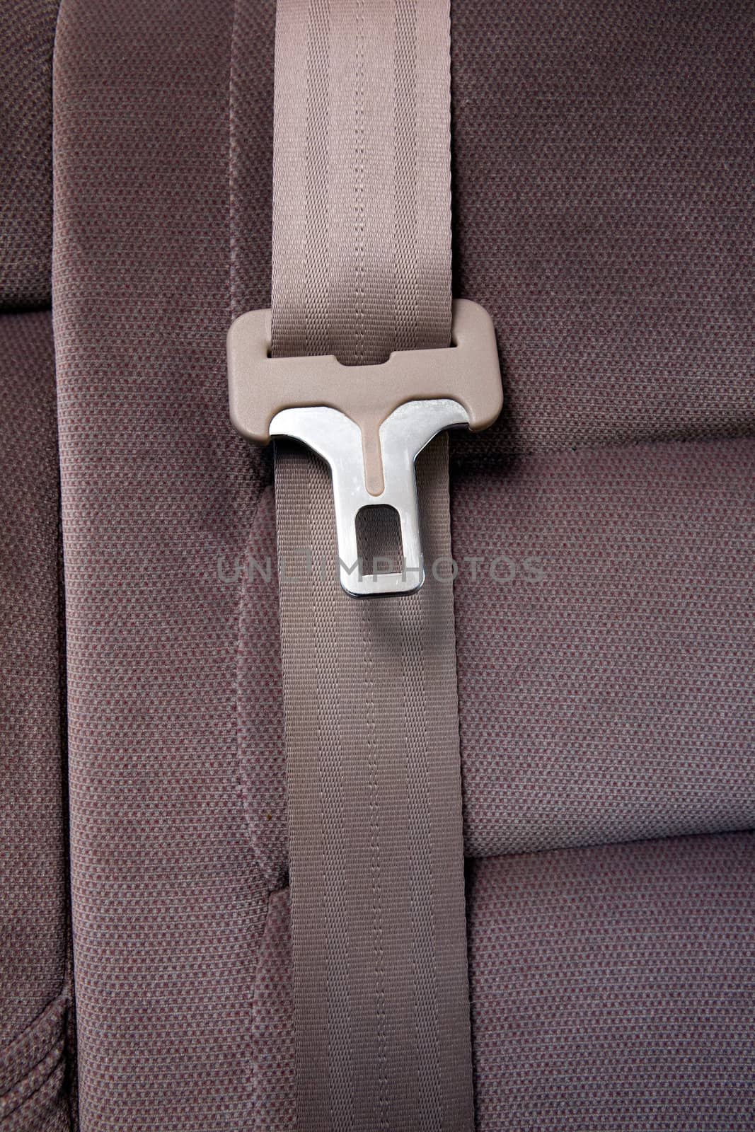 Seatbelt in Car by leaf