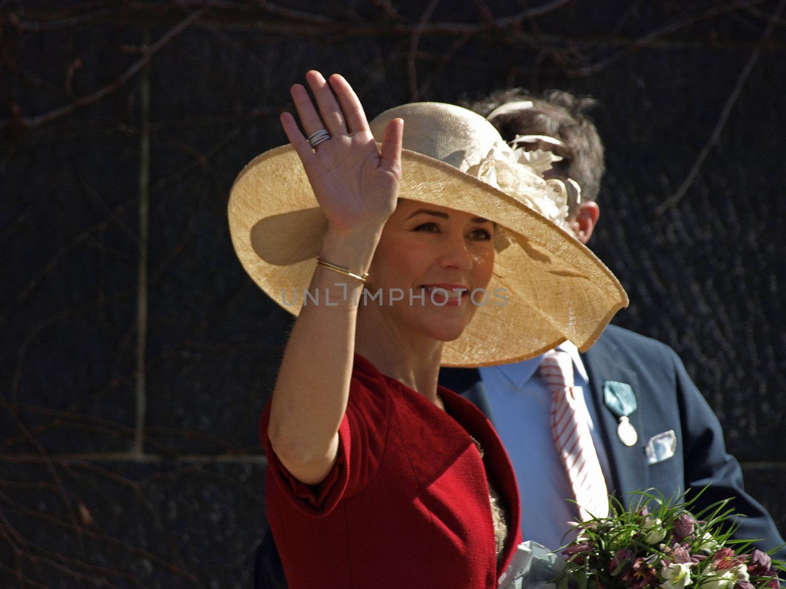 Mary Elizabeth, Her Royal Highness Crown Princess, Crown Princess of Denmark by Ric510