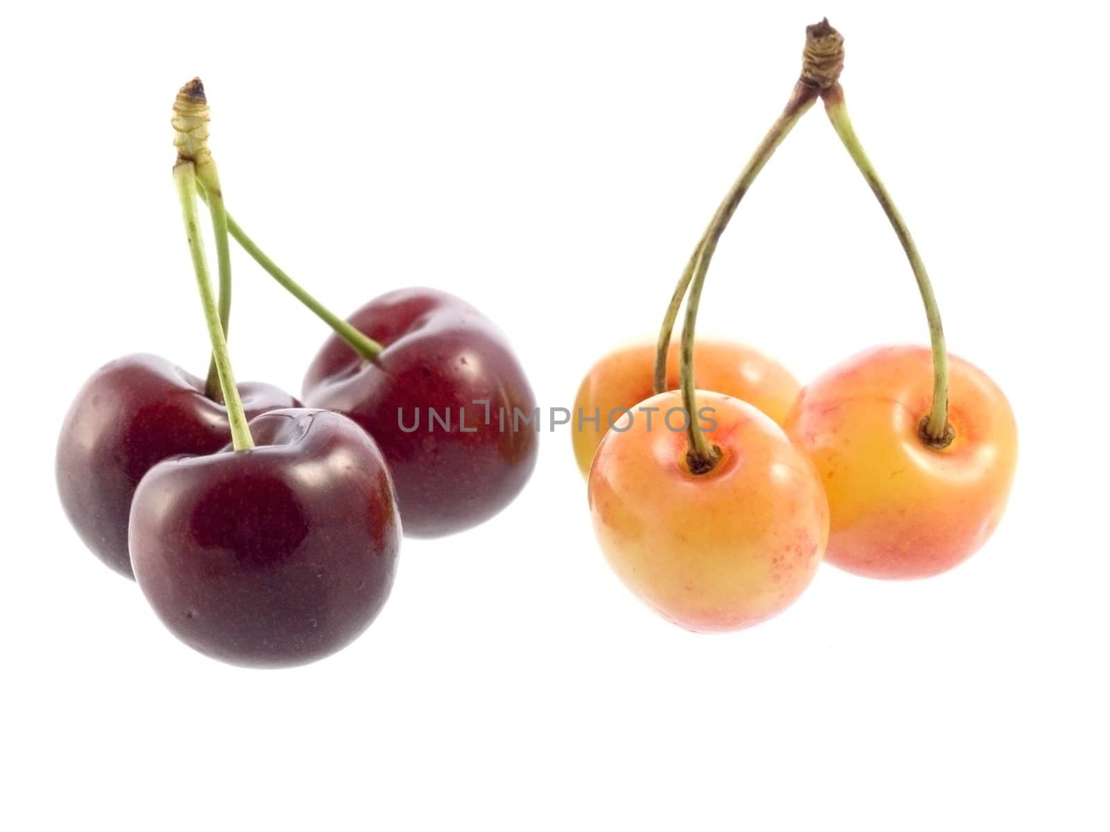 Close-up of sweet cherries isolated on white