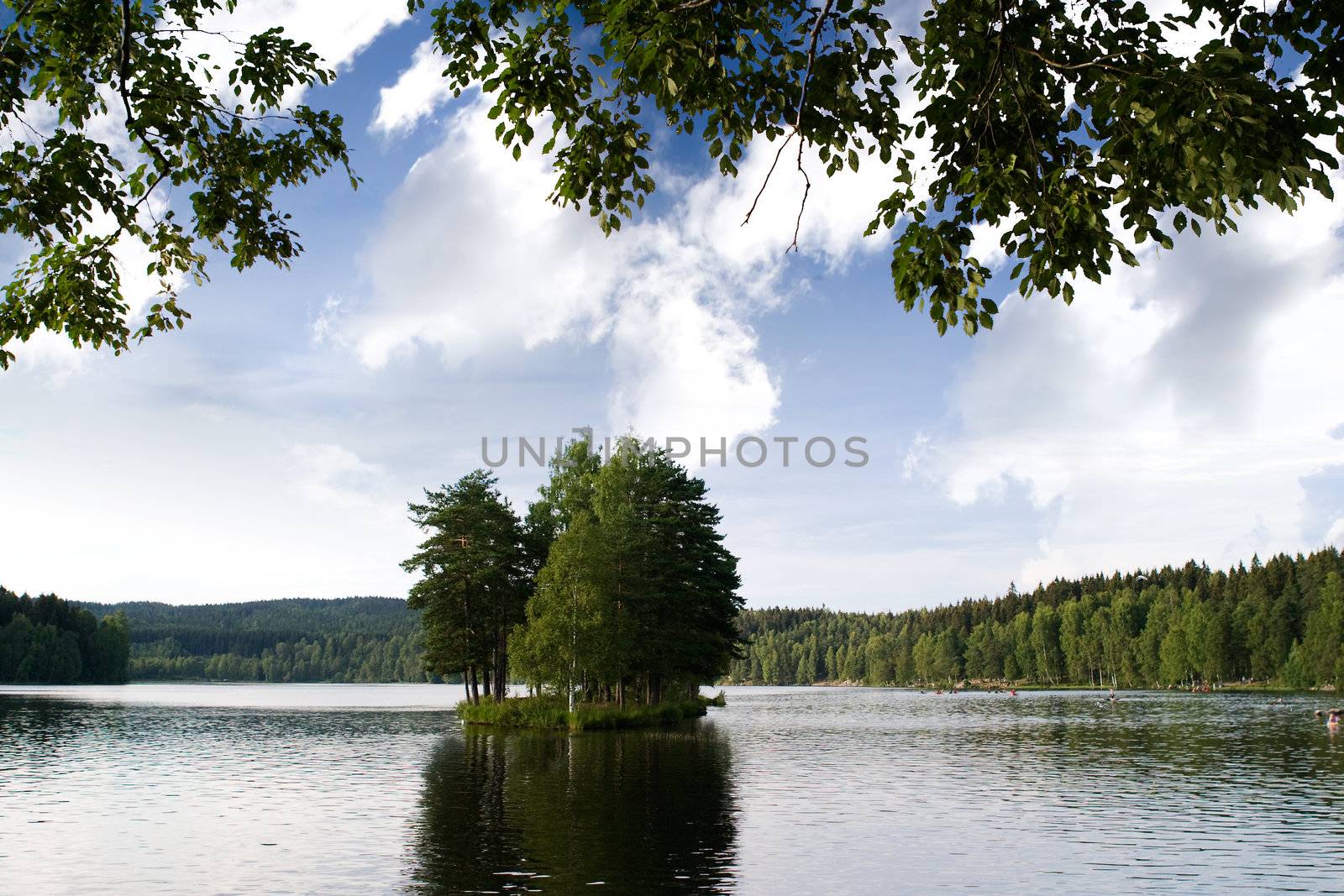 Small Lake and Island by leaf