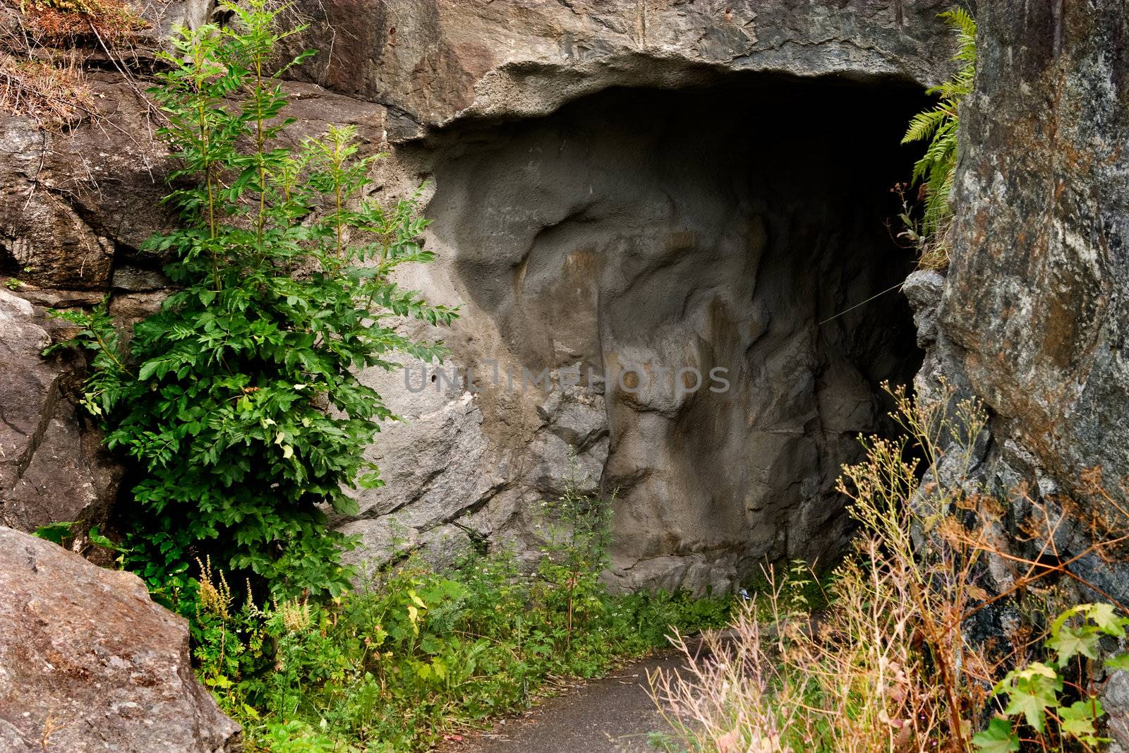 A path leading into a dark stone cave