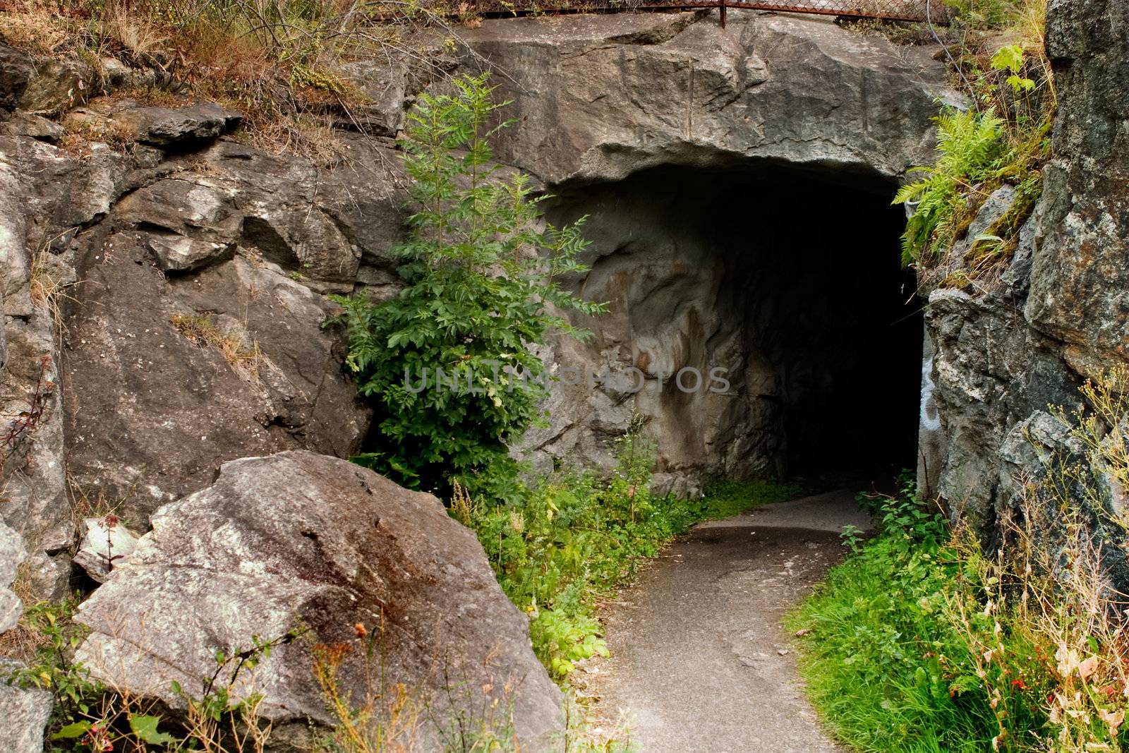 A path leading into a dark stone cave