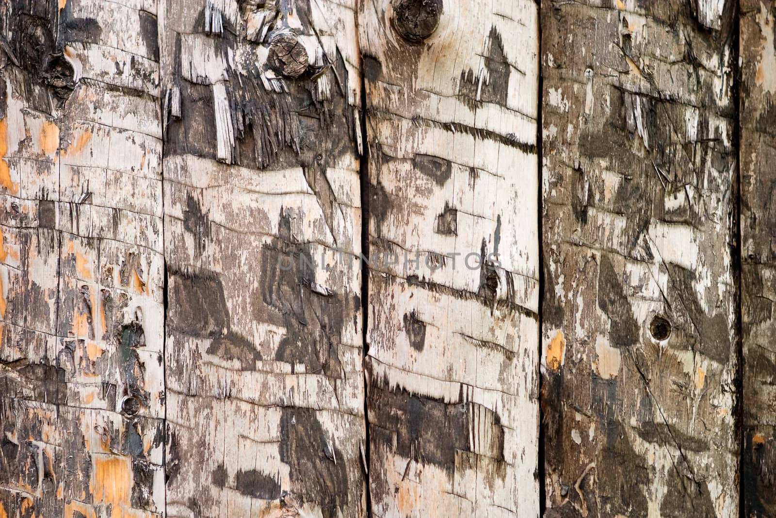 A wood slab texture background image