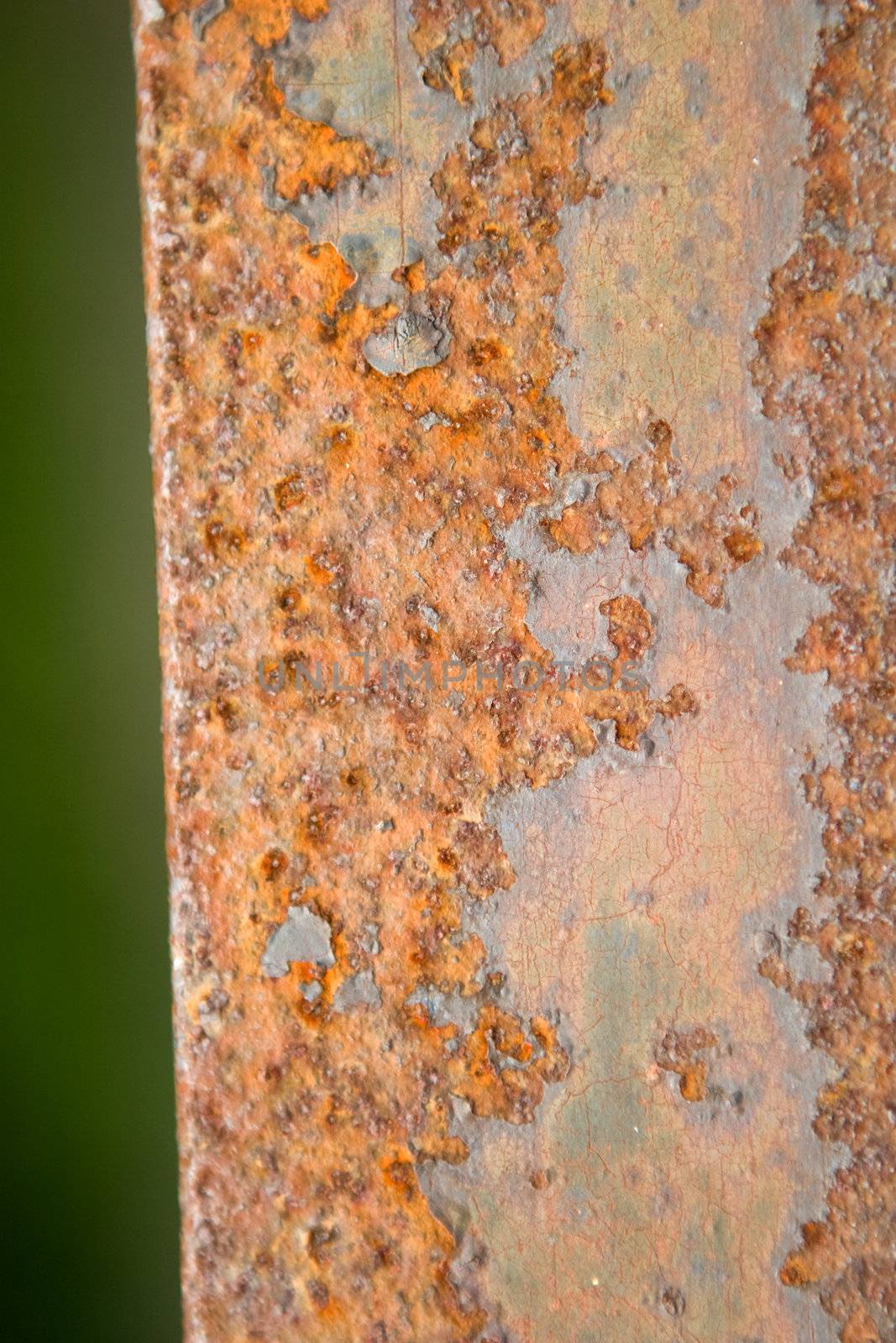 Orange Rust Texture by leaf