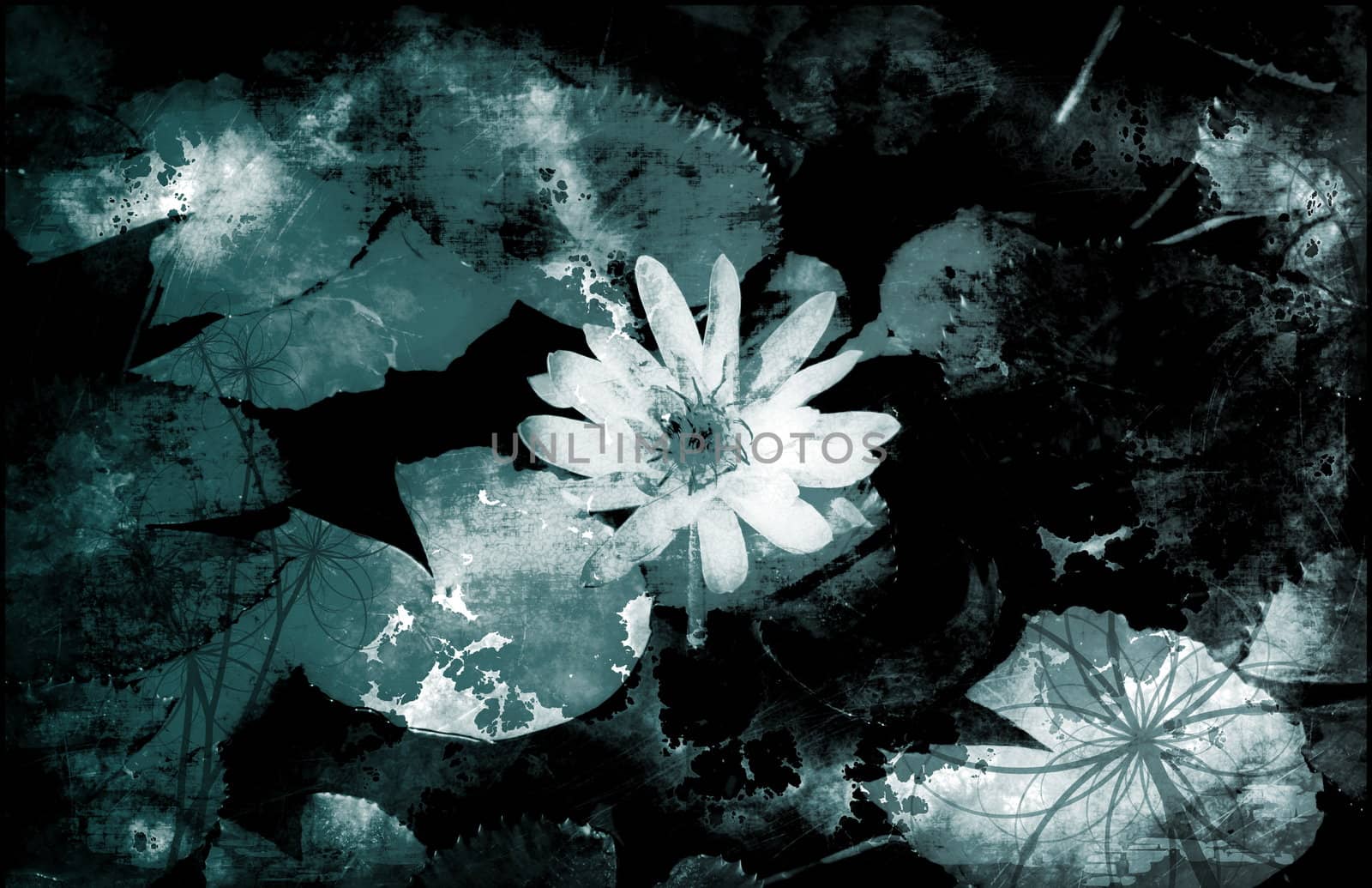 A Grunge Floral Decor Old Texture Background
