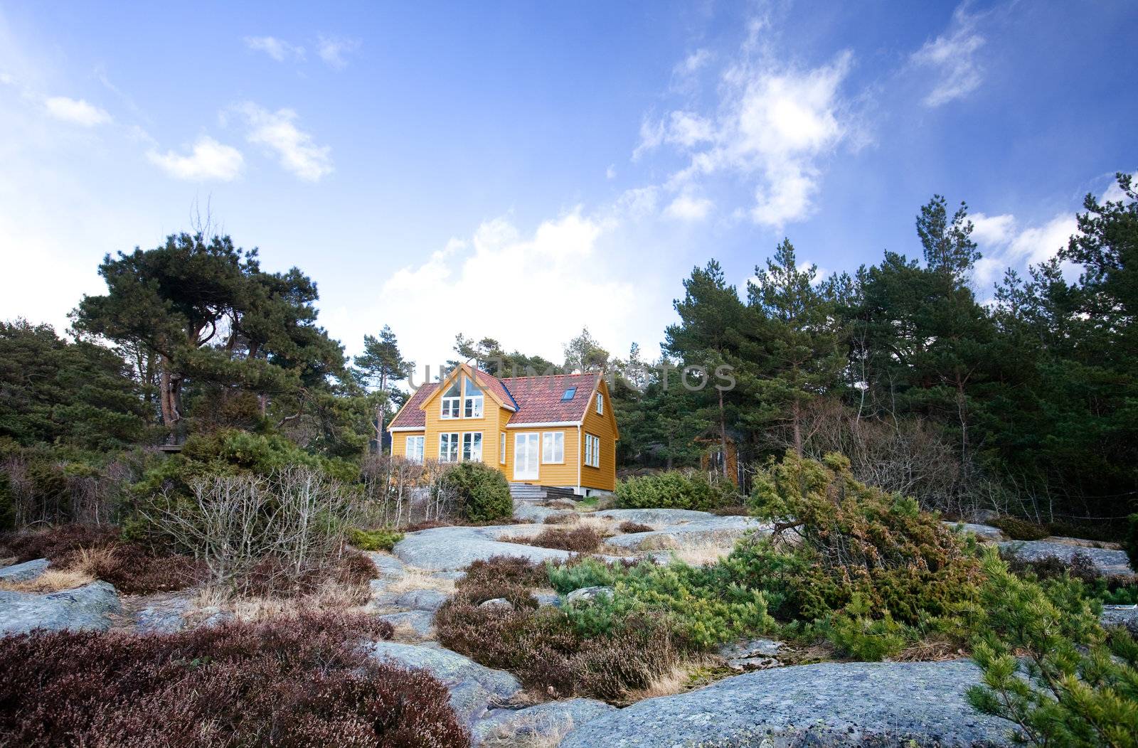 A fancy cabin in the forest on rocks