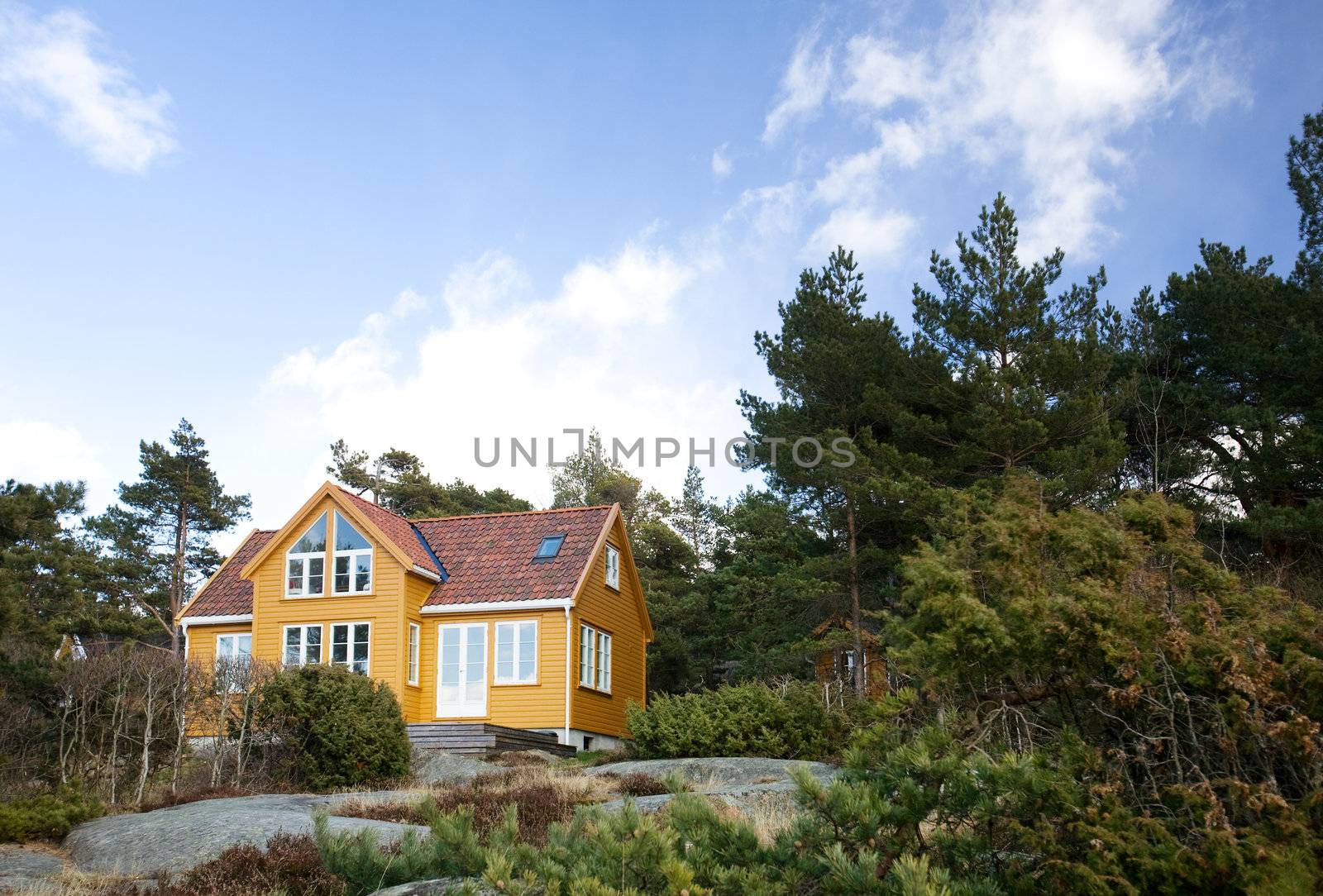 A fancy cabin in the forest on rocks