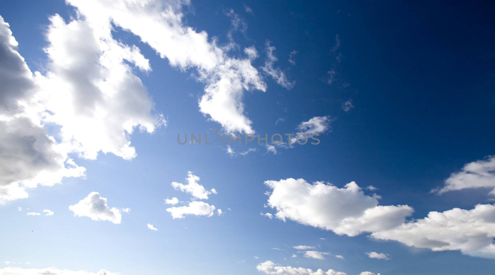 A deep blue sky background close to the horizon