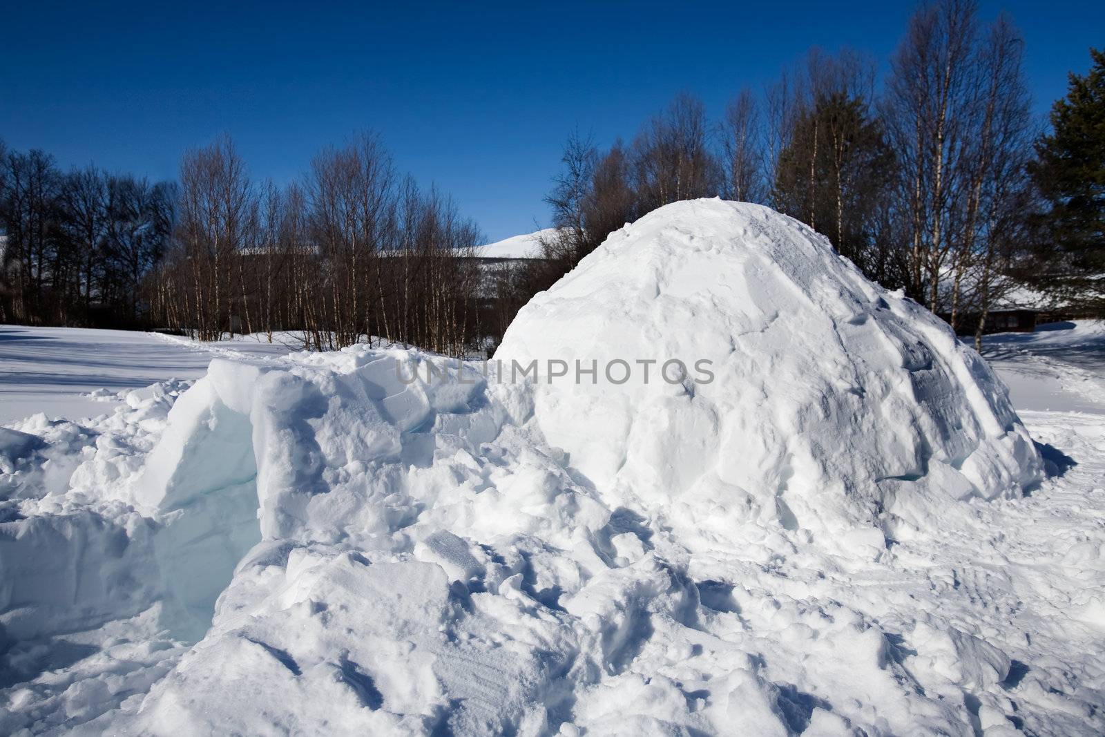 An igloo in a winter landscape