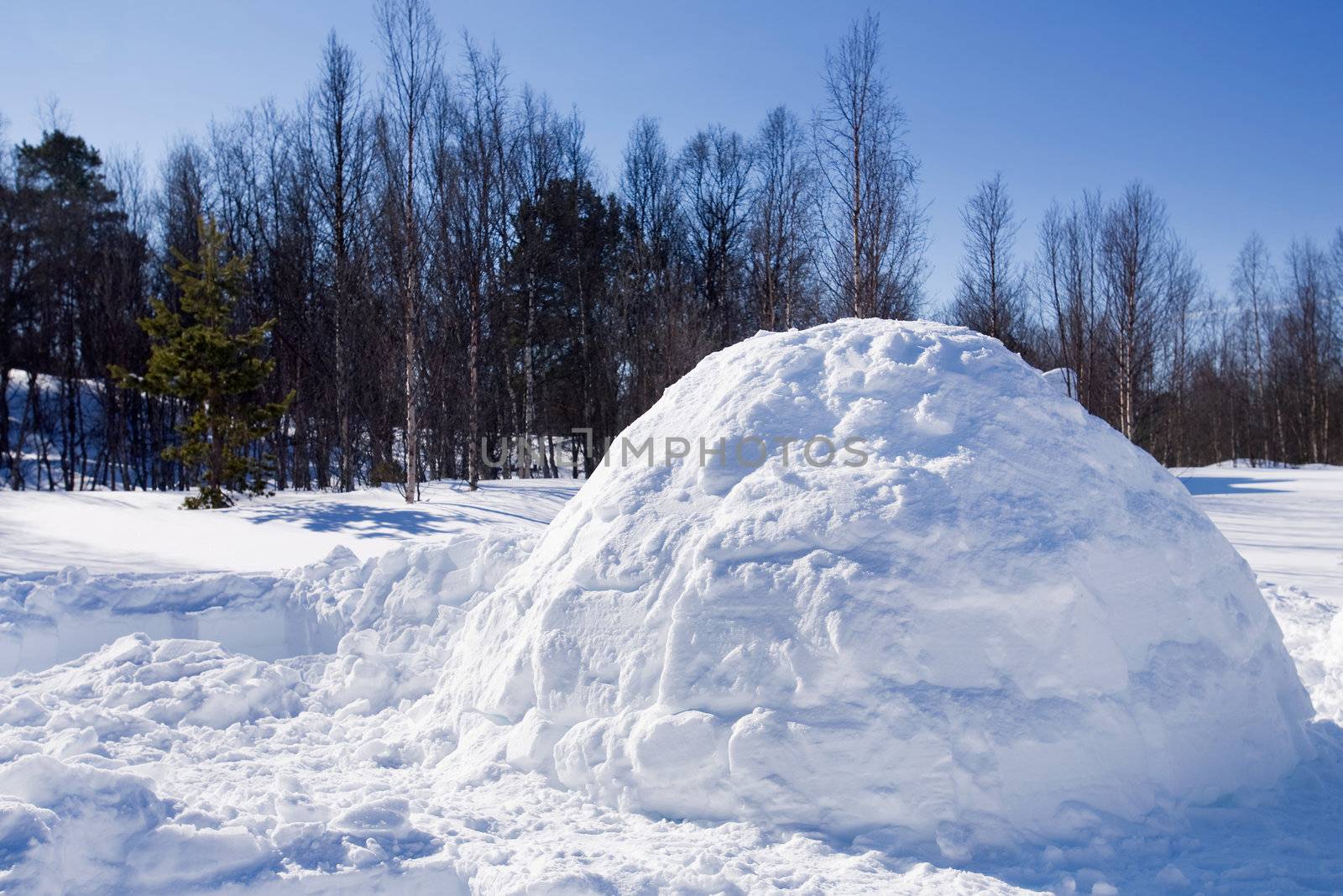 An igloo in a winter landscape