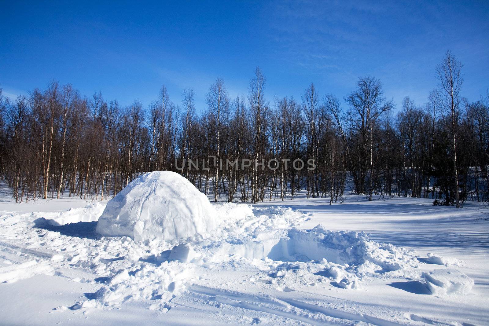 Igloo winter landscape by leaf