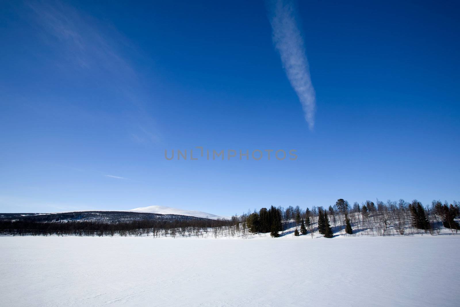 Winter Mountain Landscape by leaf