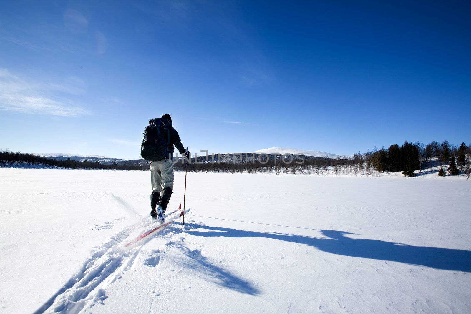 Back Country Skiing by leaf