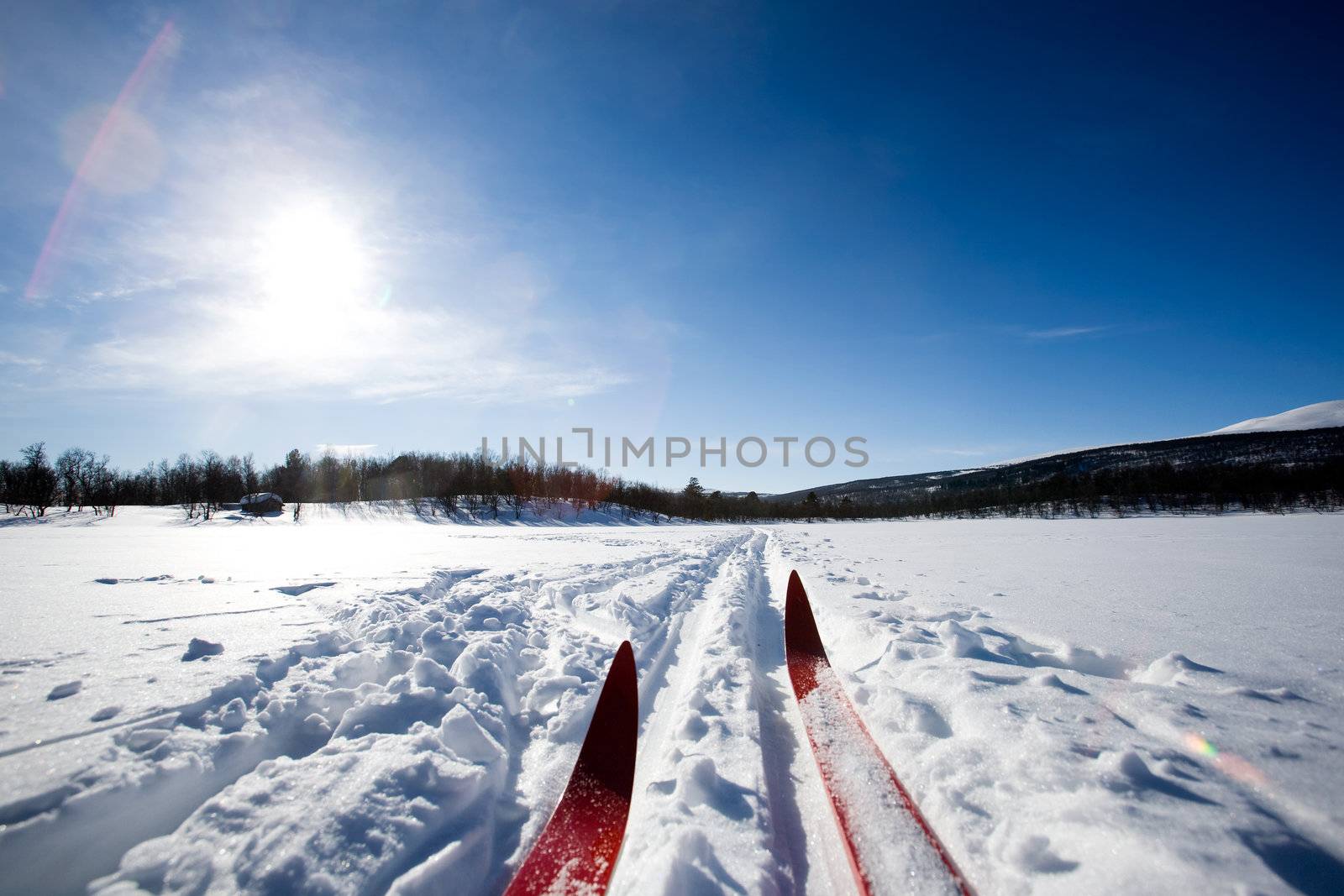 A cross country ski detail