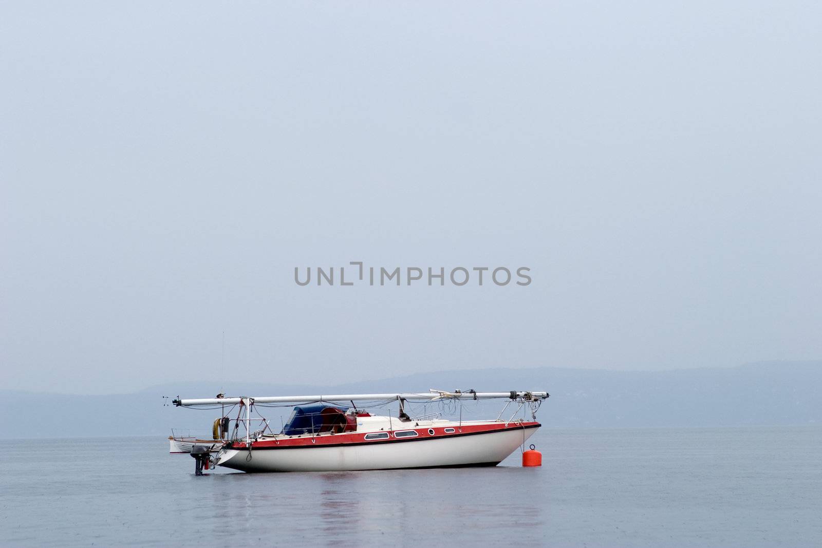 Sailboat on Ocean by leaf