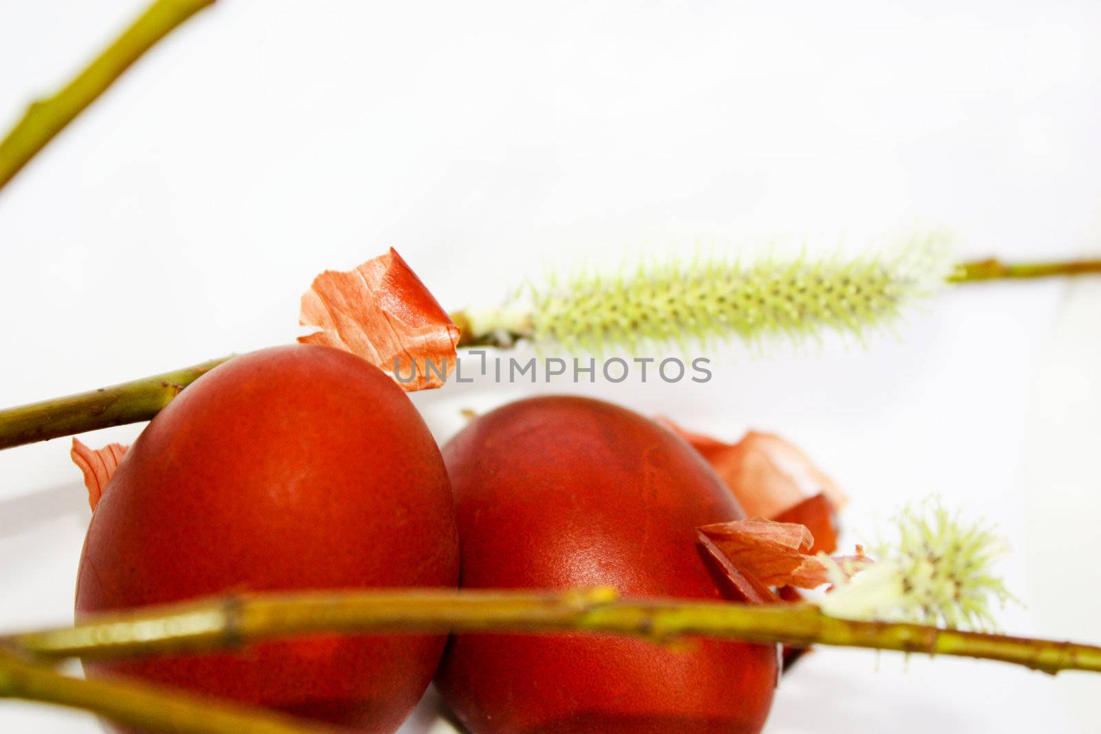 eggs, pussy-willow by Lyudmila