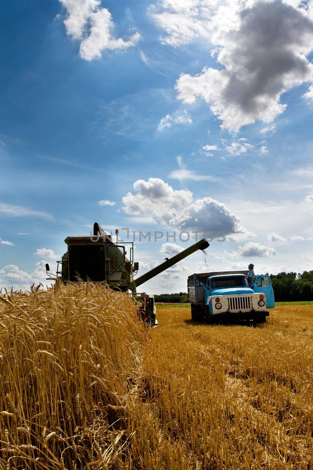 Combine working in field at harvest time