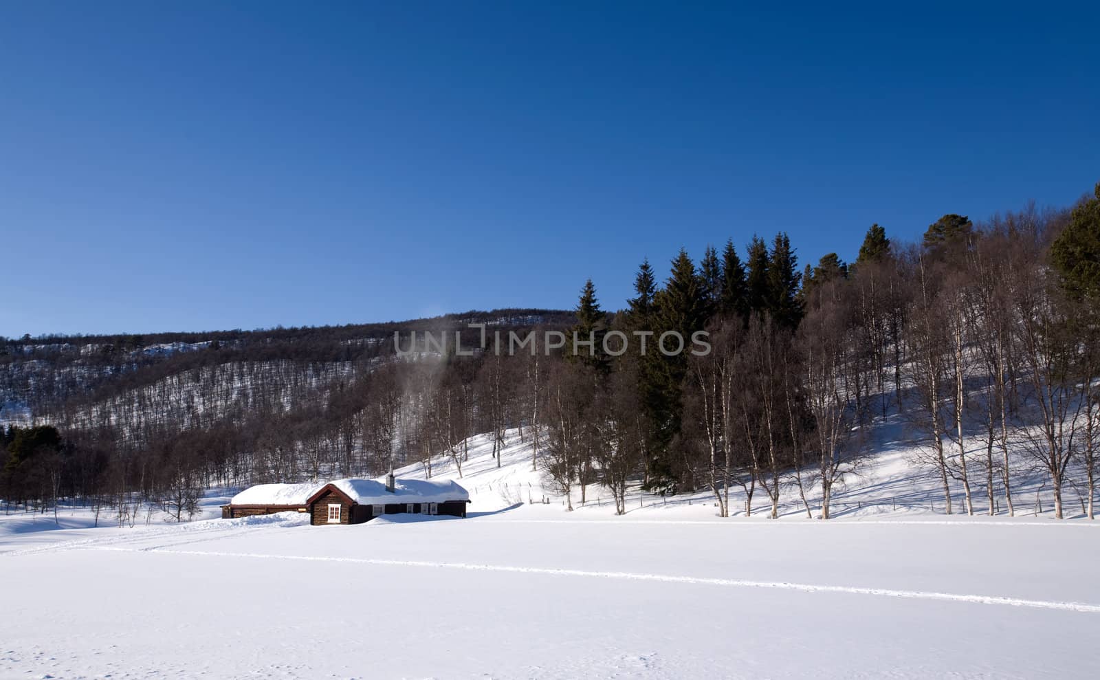 A cabin in the mountains on a winter landscape