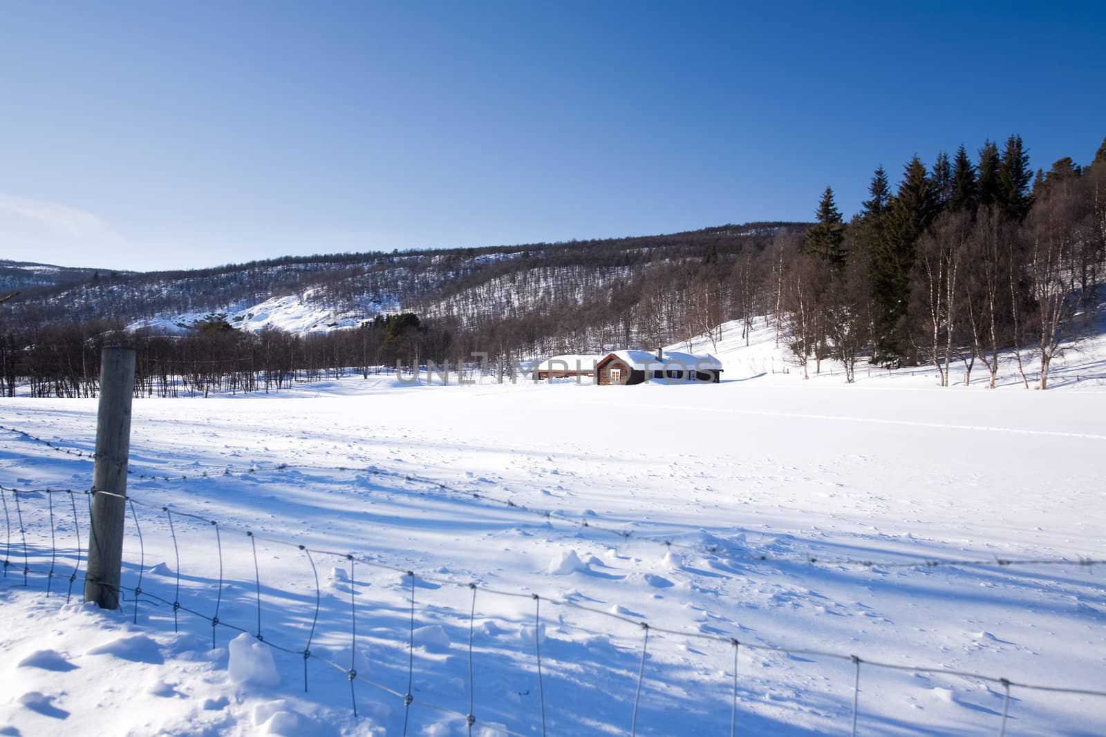 A cabin in the mountains on a winter landscape