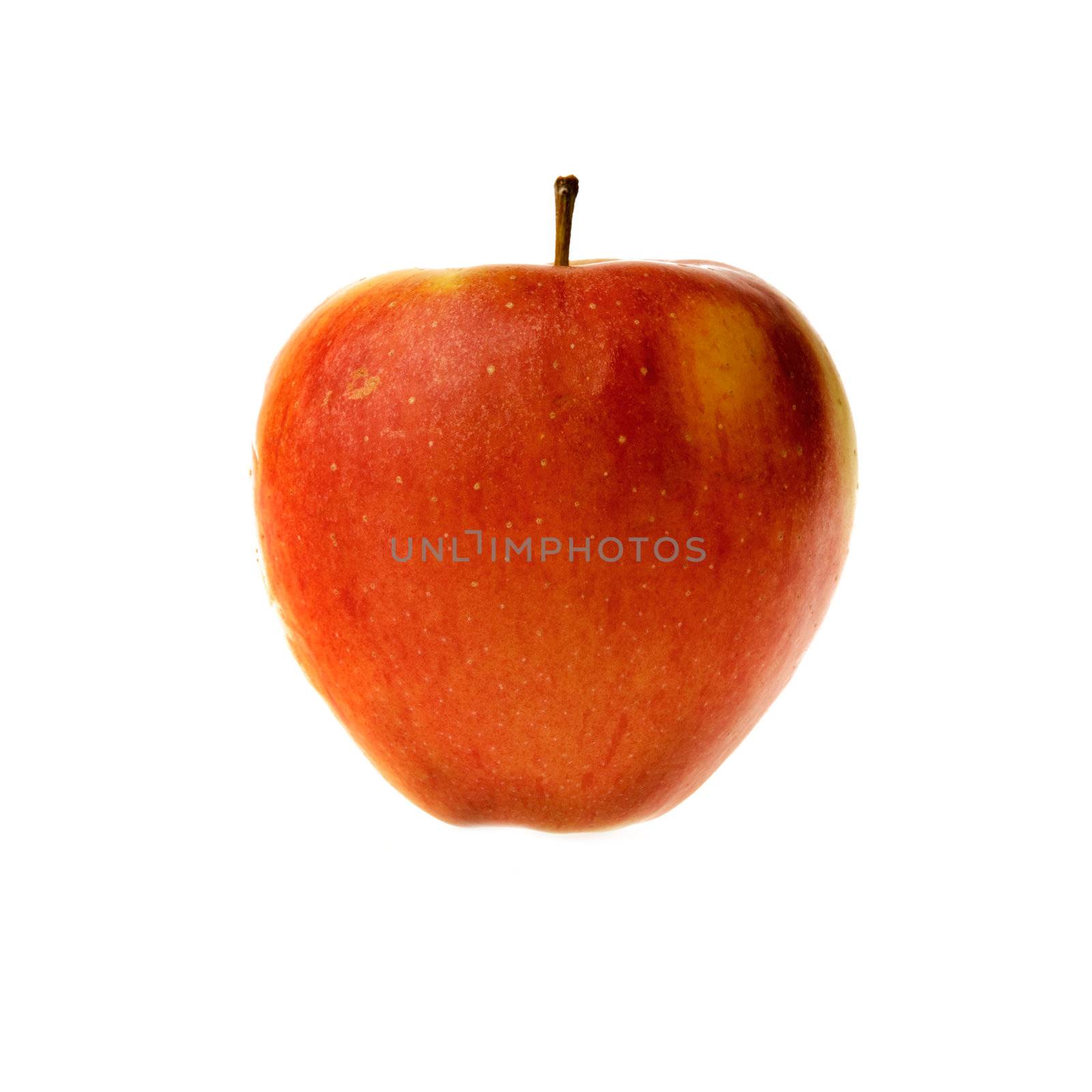 An apple isolated on a white background
