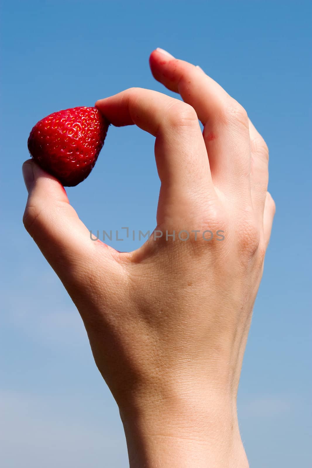 A hand holding a single strawberry against the sky