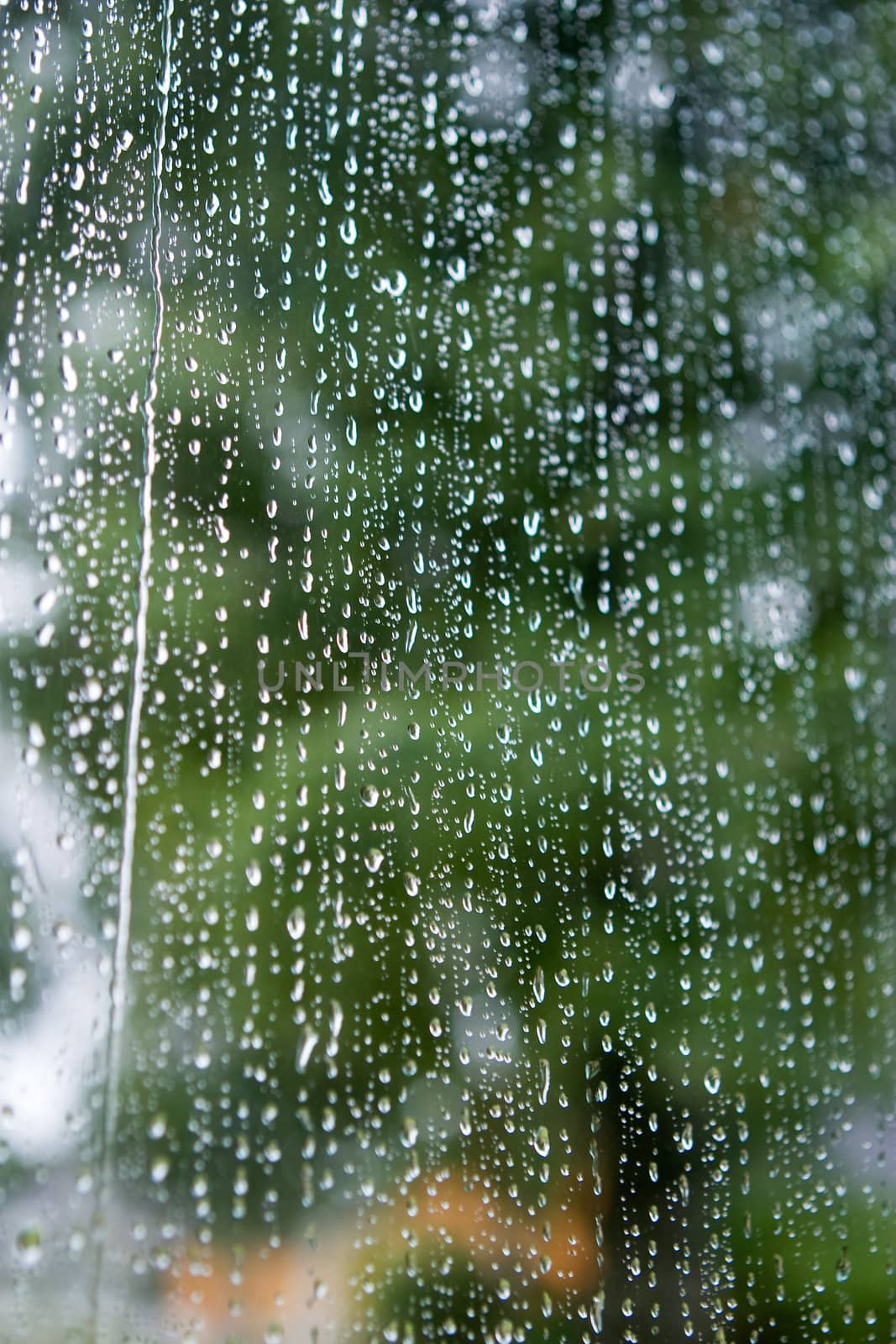 Rain Background by leaf