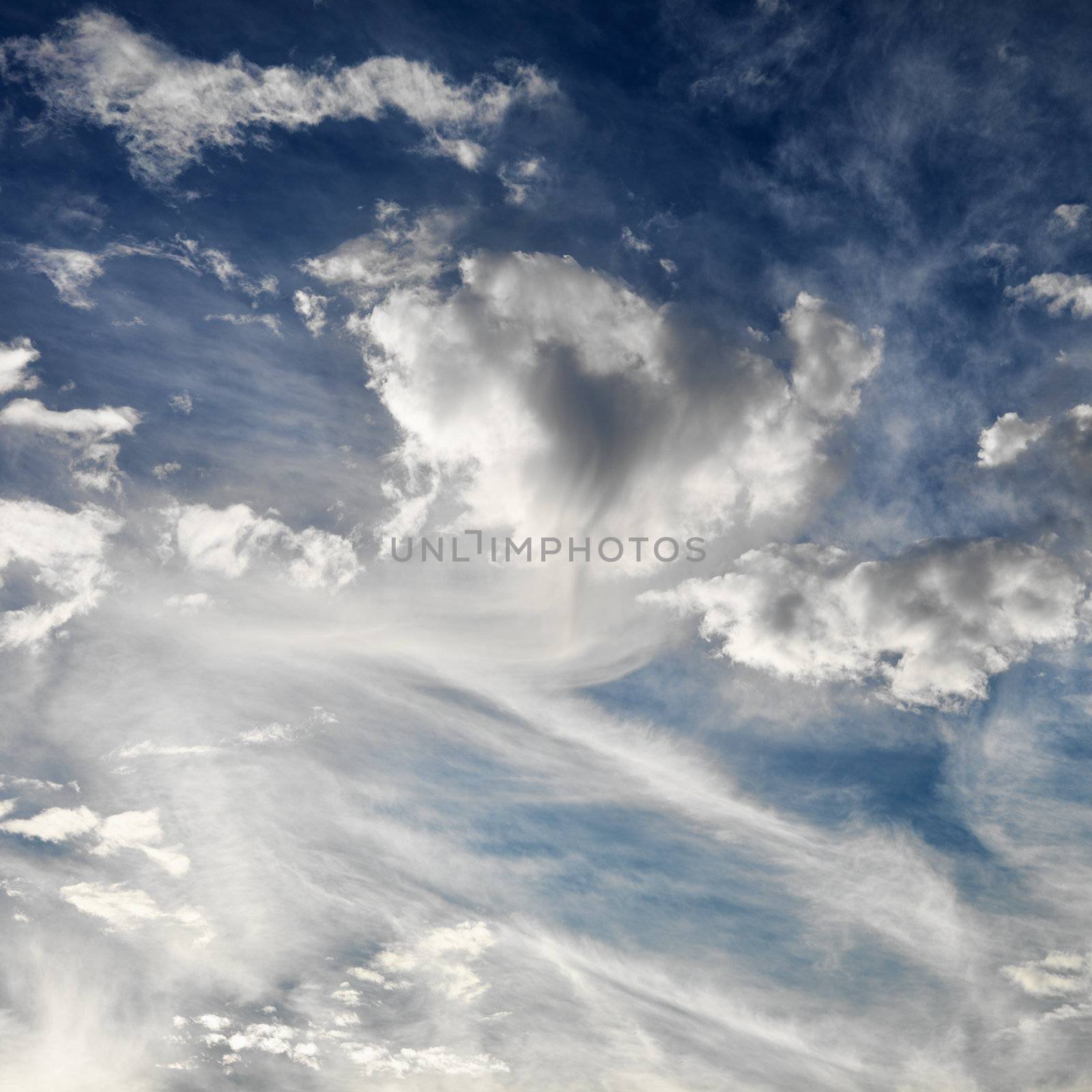 Wispy cloud formations against clear blue sky.