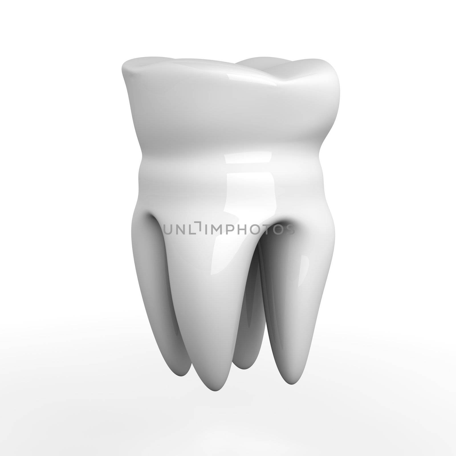 Tooth by Spectral