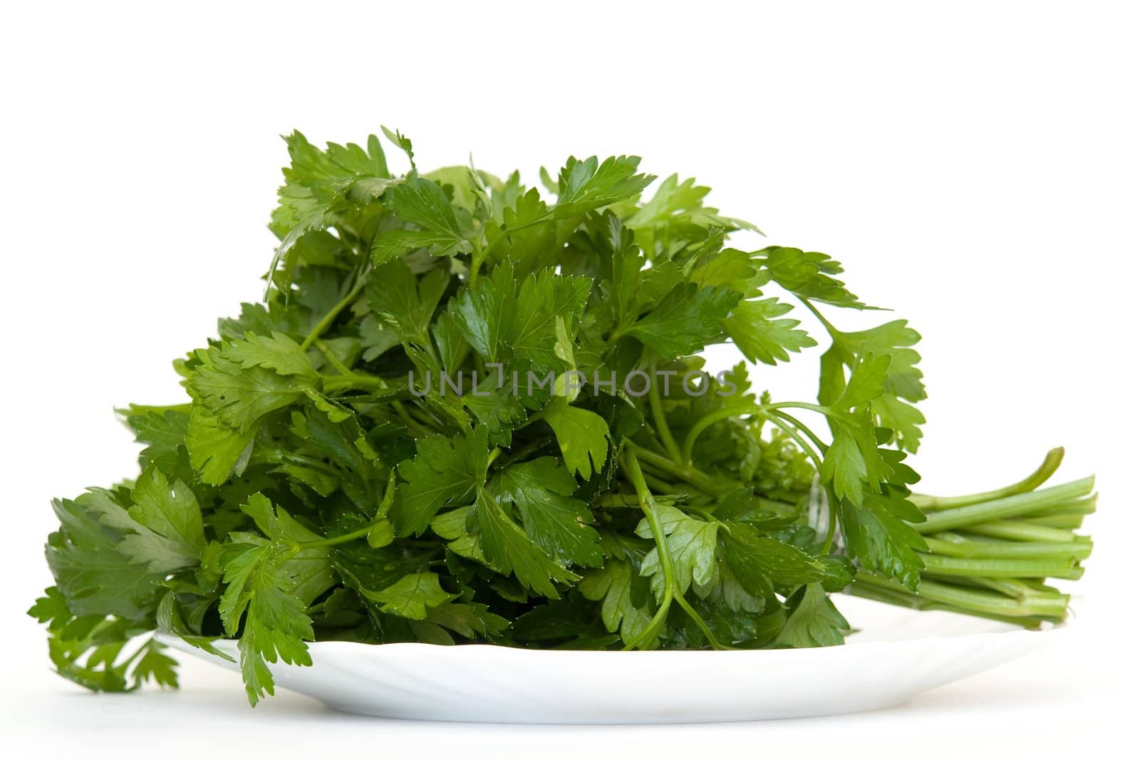 Green dill on a plate by stepanov