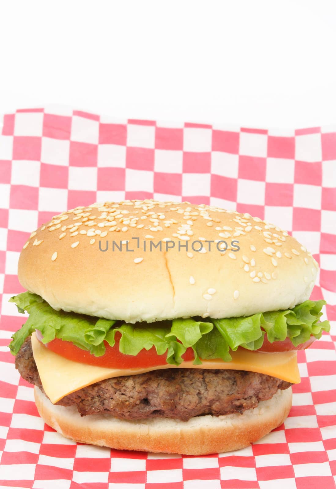 hamburger on wrapping paper