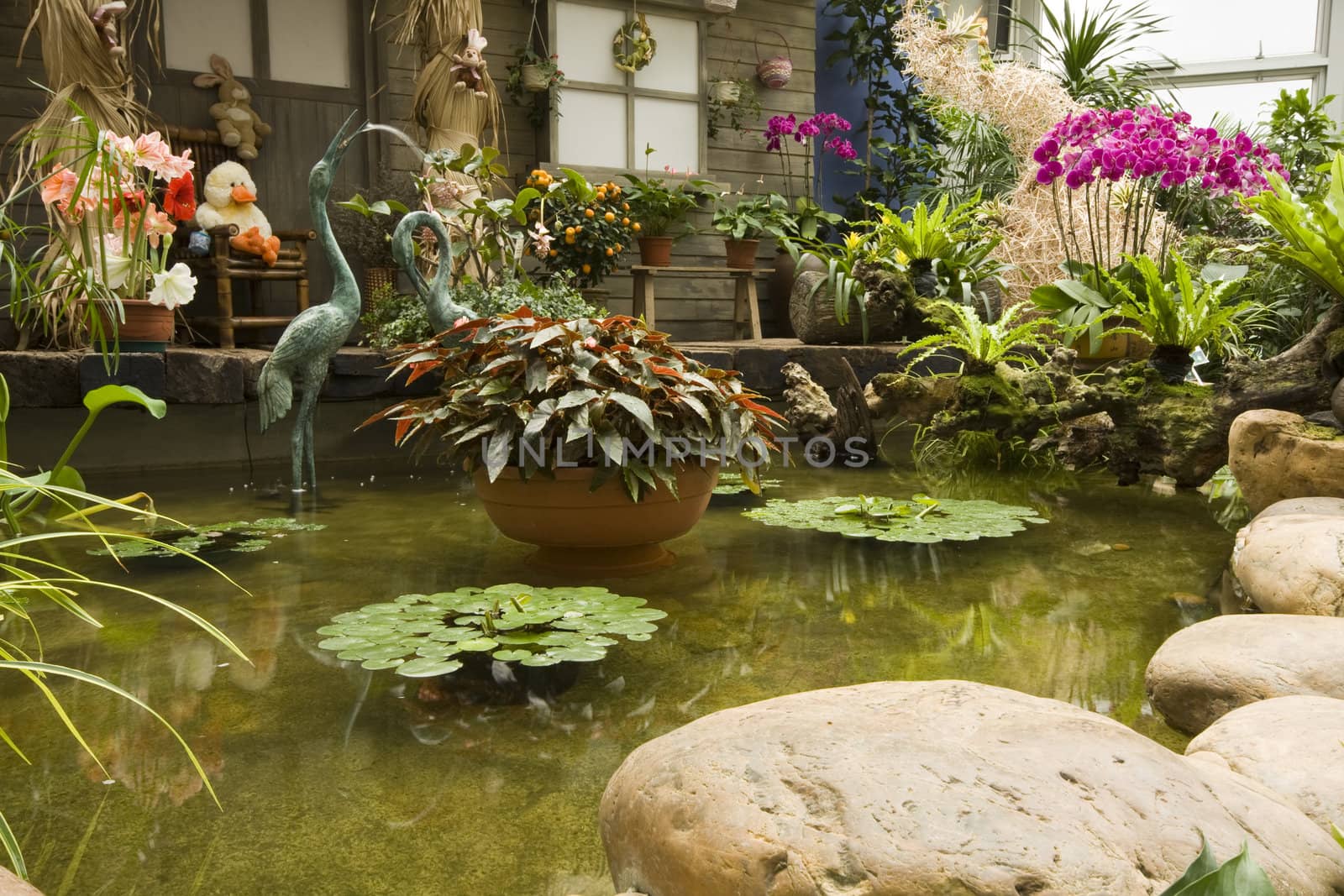  beautiful indoor garden of colorful flowers in spring 