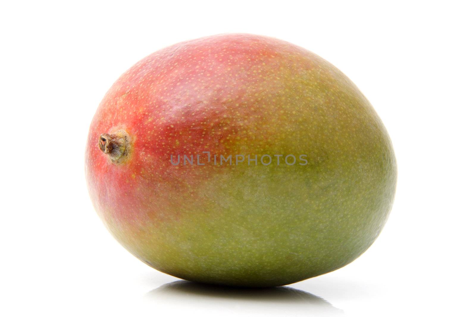whole fresh mango isolated on white
