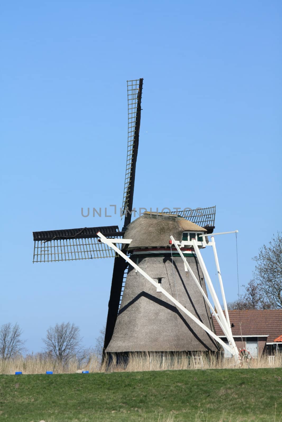 traditional dutch windmill by studioportosabbia