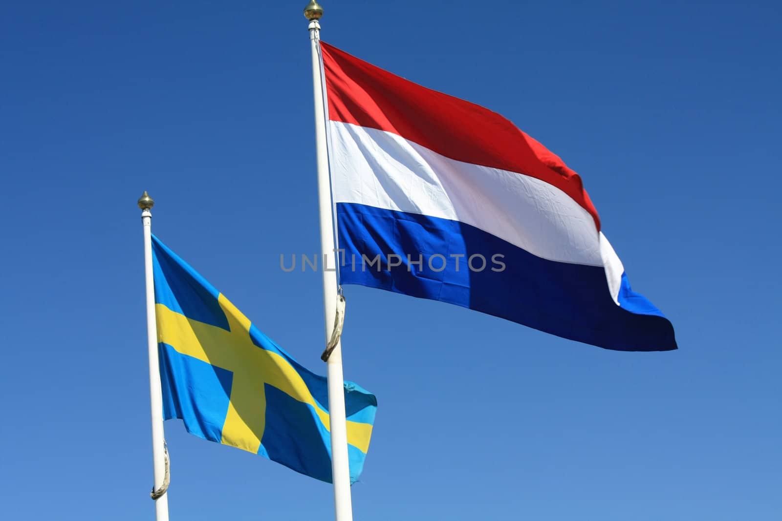 Two flags in the wind, Swedish and Dutch flag