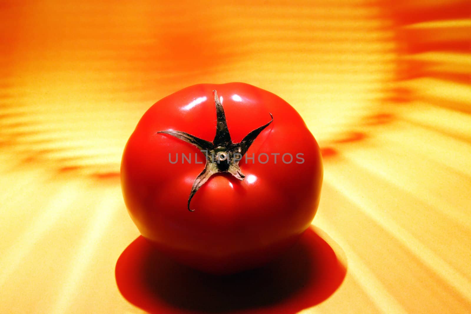 tomato with red and yellow background