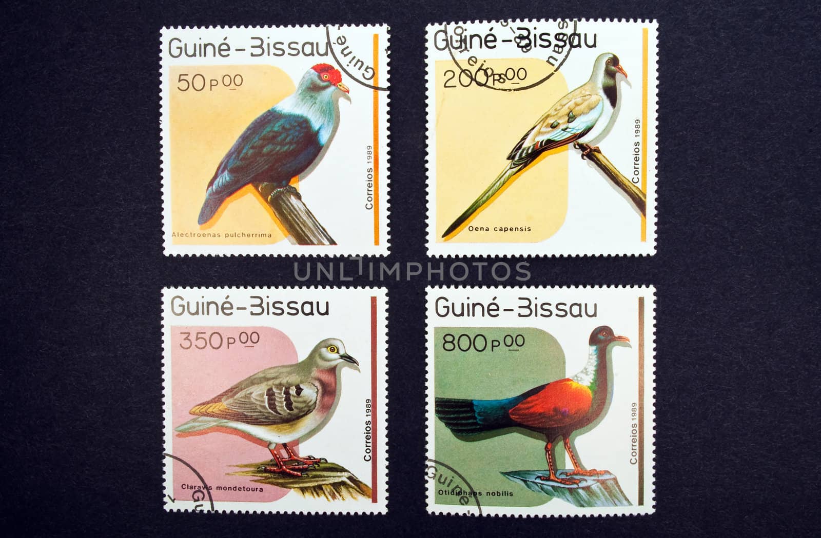 Birds stamps by FER737NG