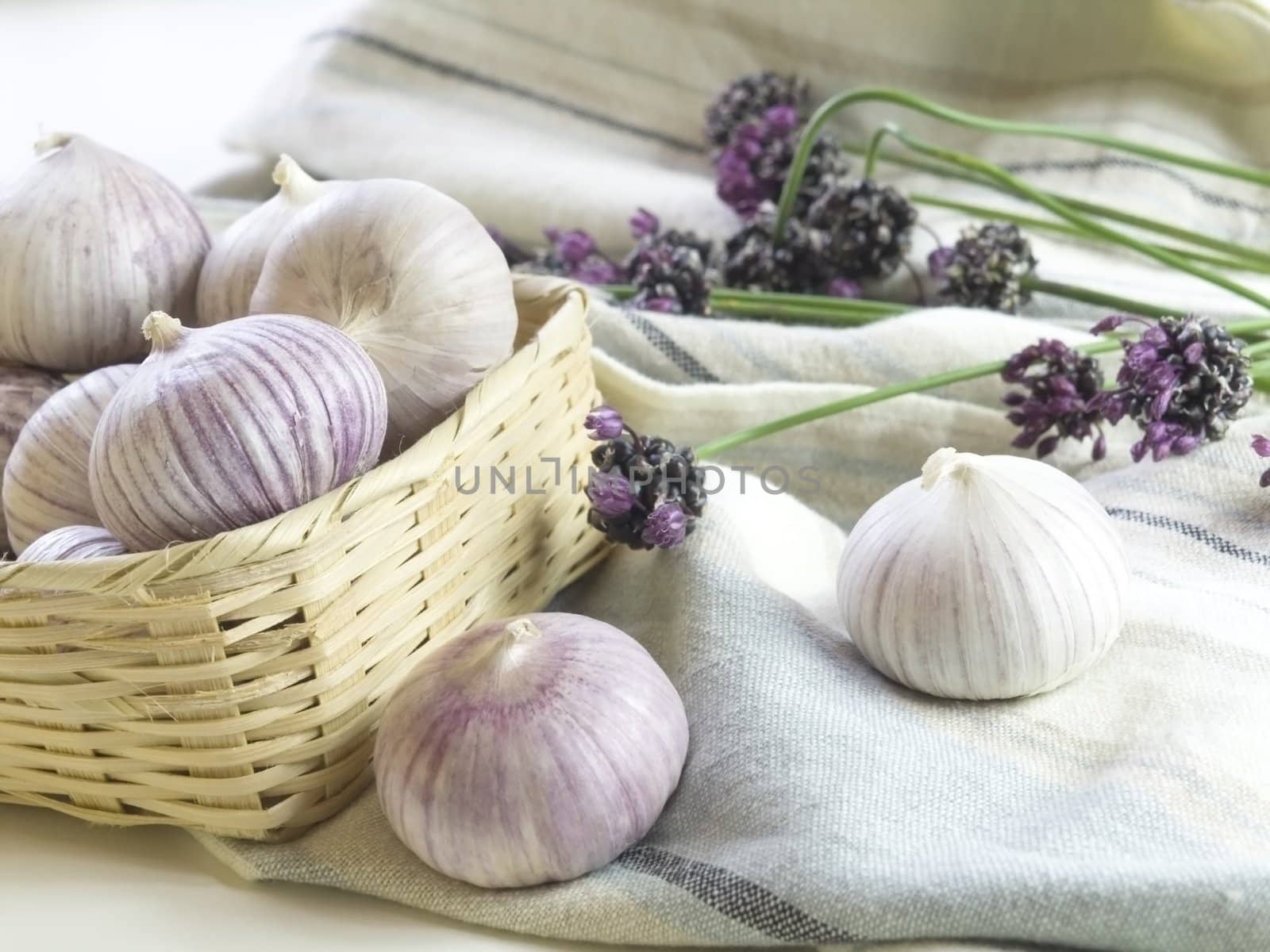 Purple Garlic  by iwka