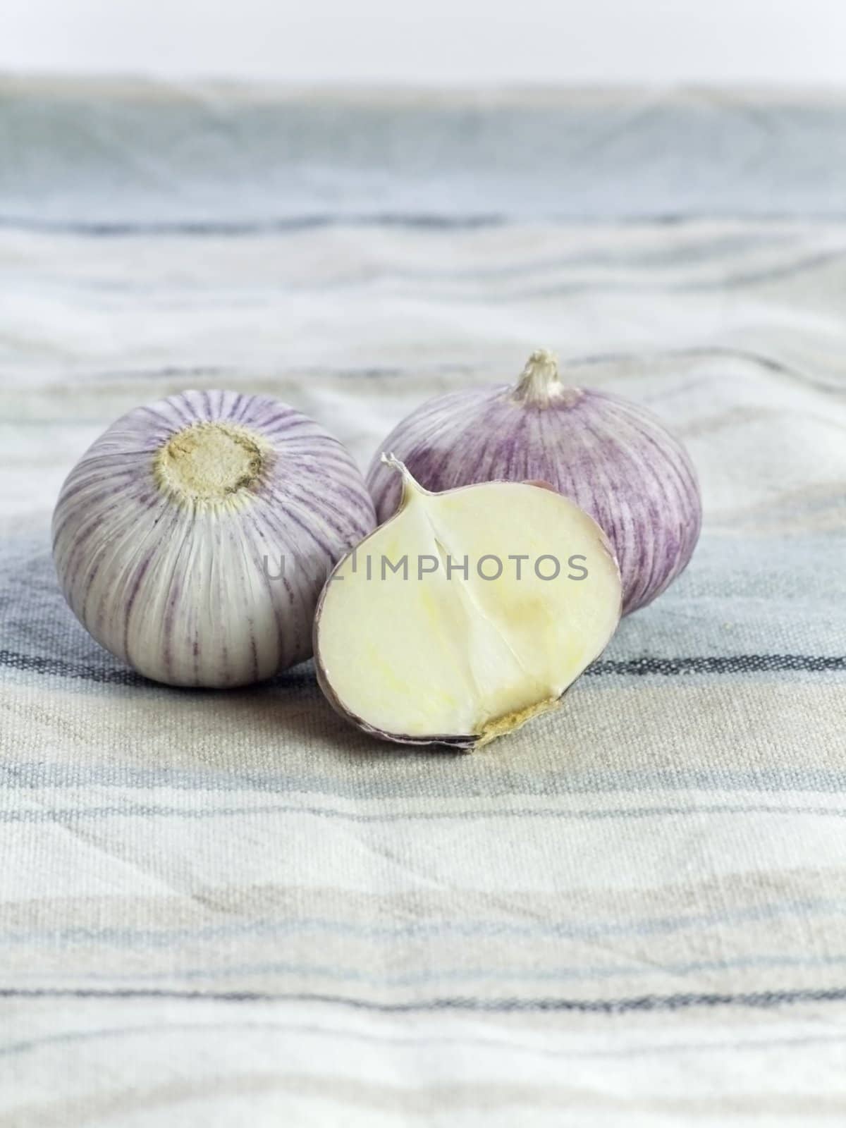 Purple Garlic  by iwka