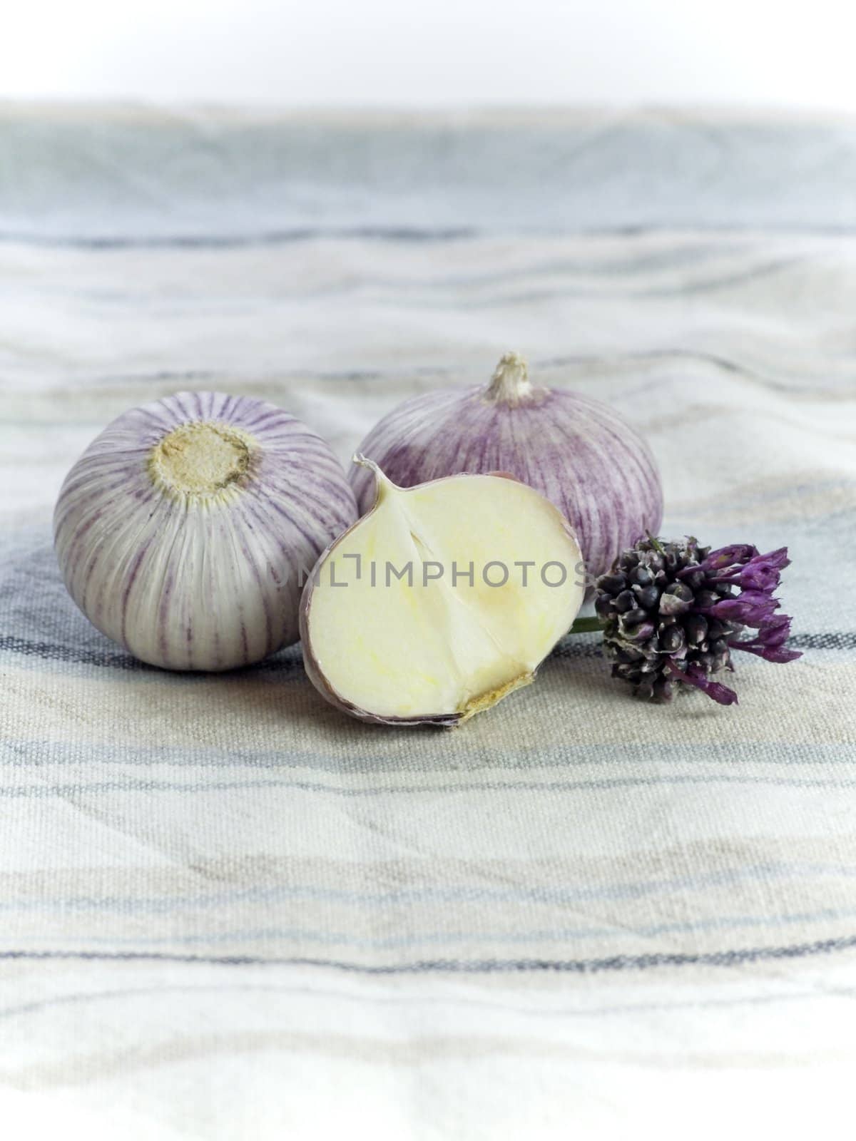 Purple Garlic 