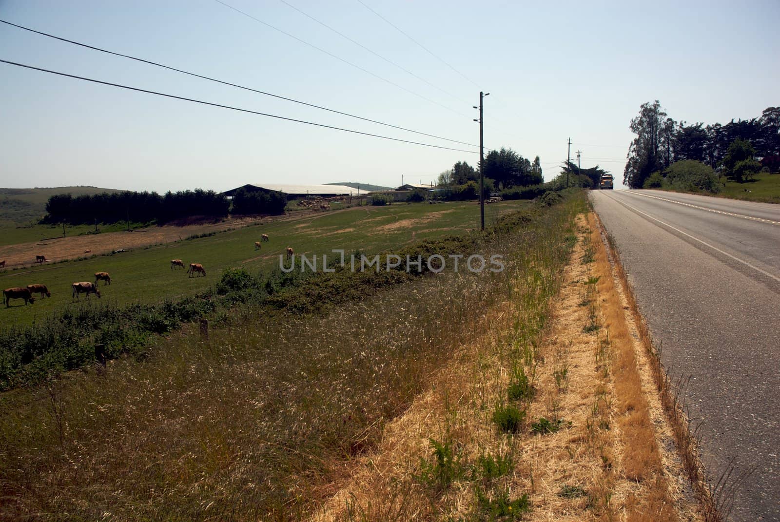 California Farm Country by jedphoto