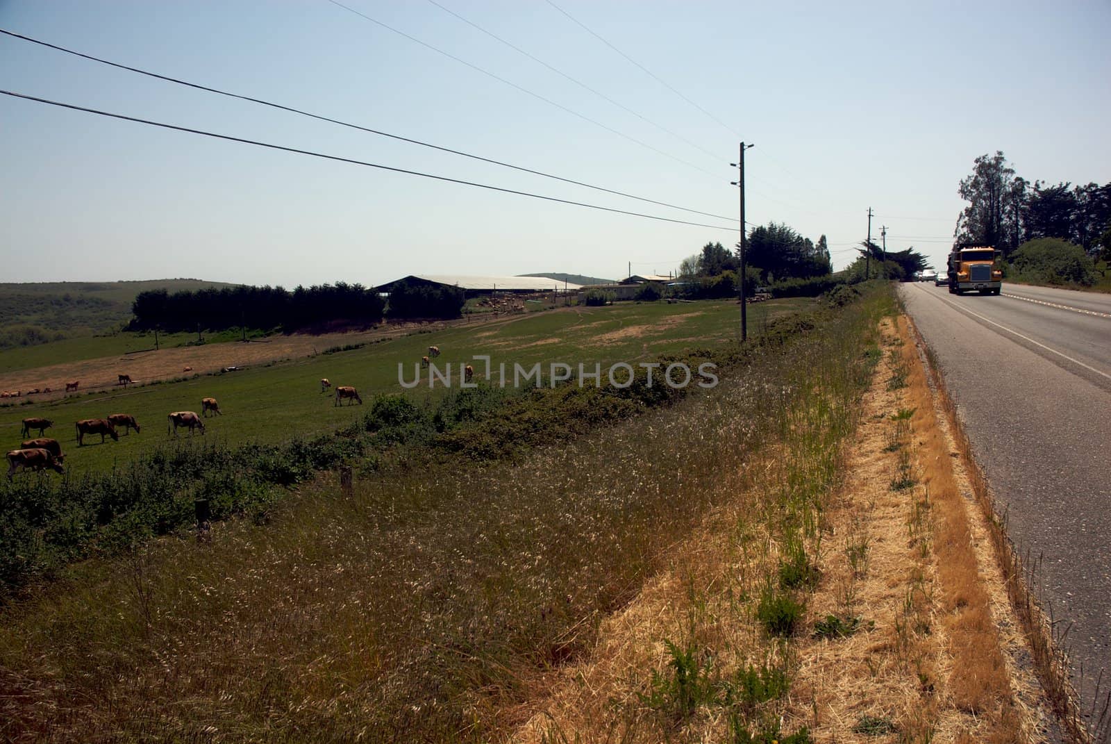 California Farm Country by jedphoto