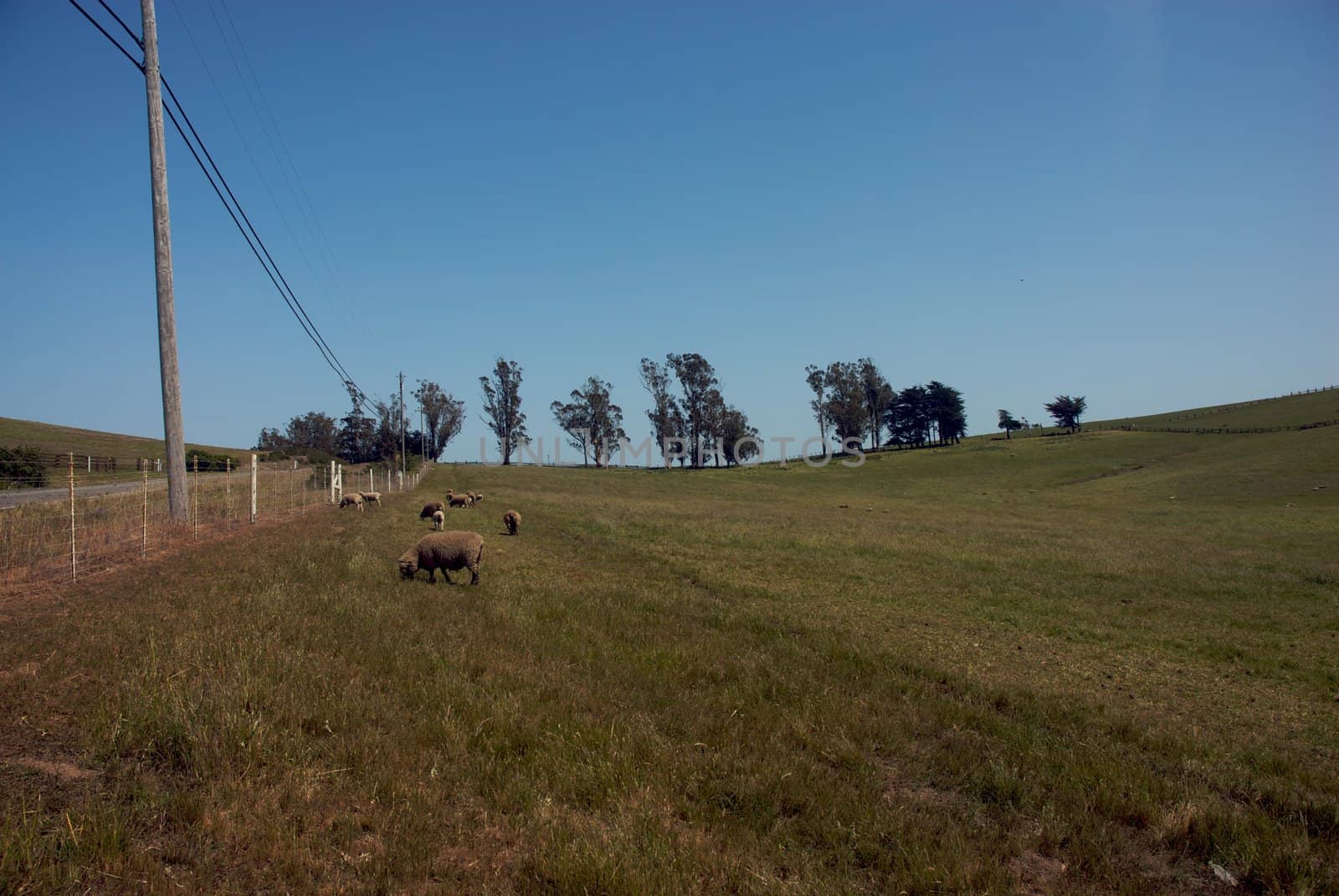 California Farm Country by jedphoto