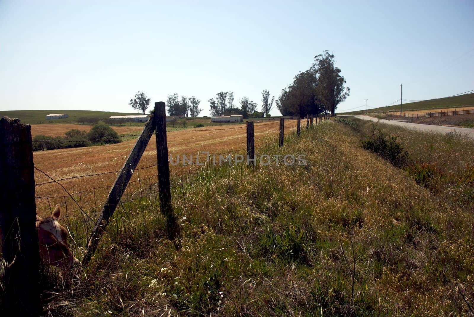 California Farm Country by jedphoto