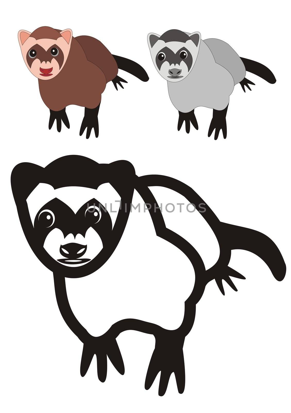 illustration of a ferret, black outlines, grayscale and color.