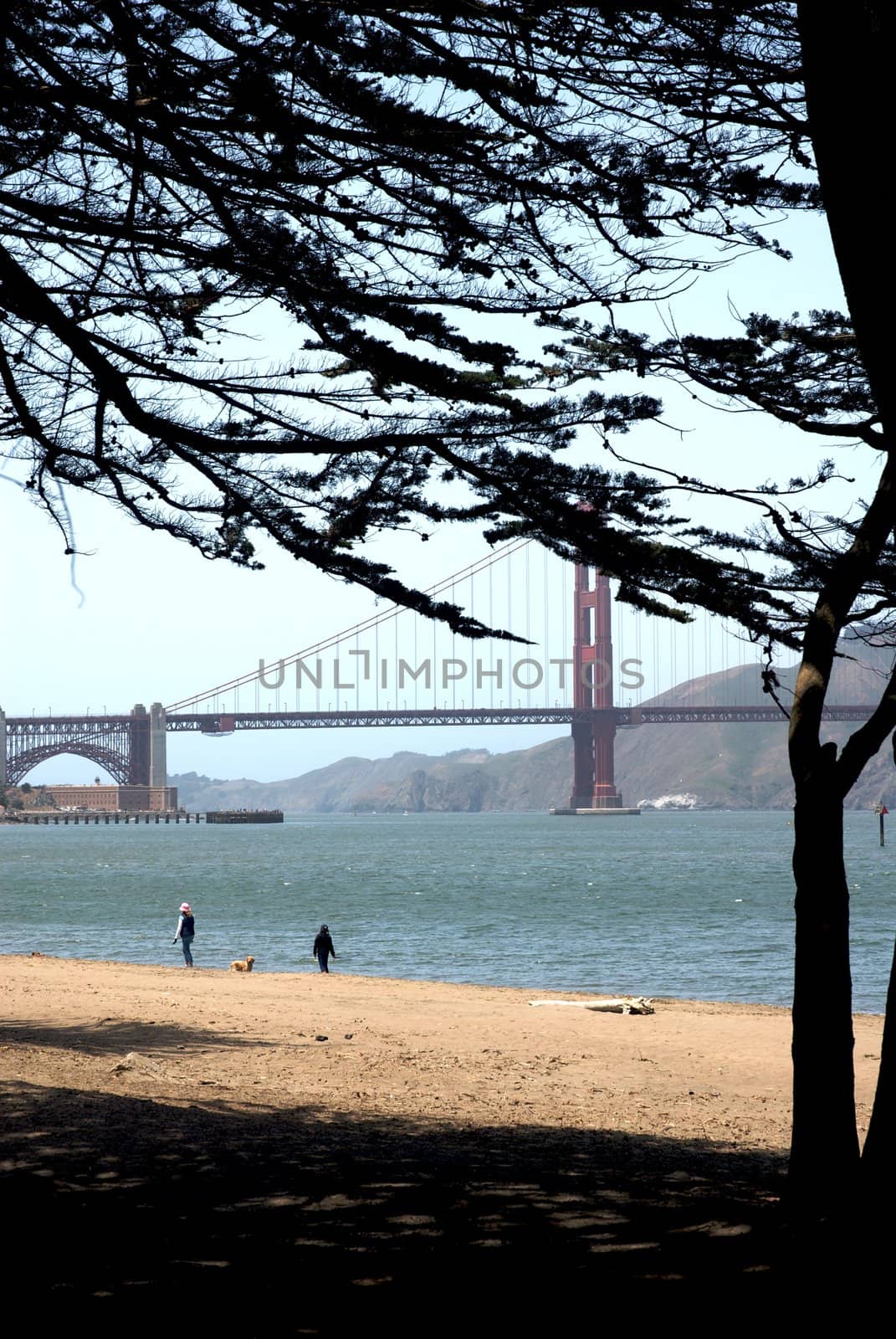 California, San Francisco, Golden Gate Bridge