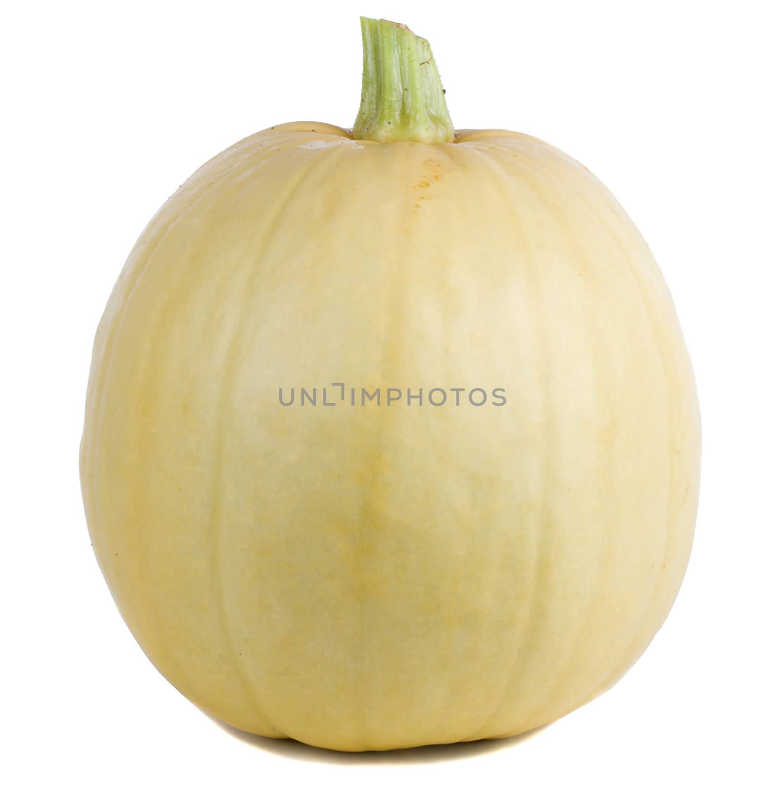 close-up single pumpkin, isolated on white
